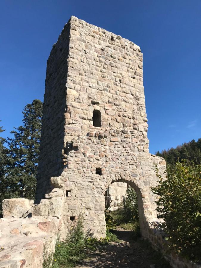 Отель Landgasthof Alpenblick An Der Wutachschlucht Sudschwarzwald Лёффинген Экстерьер фото