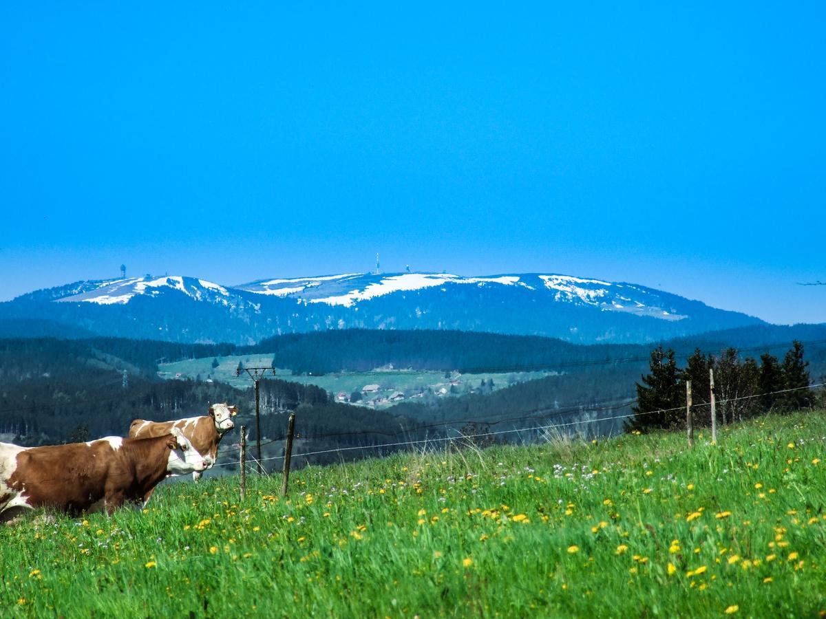 Отель Landgasthof Alpenblick An Der Wutachschlucht Sudschwarzwald Лёффинген Экстерьер фото