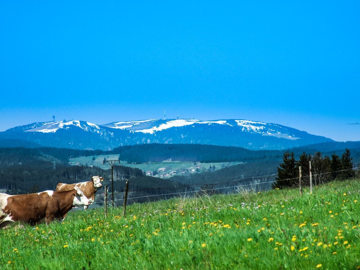 Landgasthof Alpenblick An Der Wutachschlucht Suedschwarzwald Лёффинген Экстерьер фото